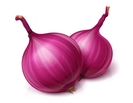 Red whole onion. Useful vegetable, Isolated on white background. Eps10 vector illustration.のイラスト素材