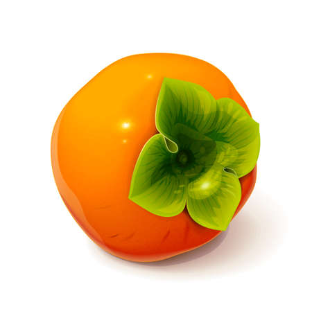 Persimmon. Ripe, fresh, useful fruit, Isolated on white background. Eps10 vector illustration.のイラスト素材