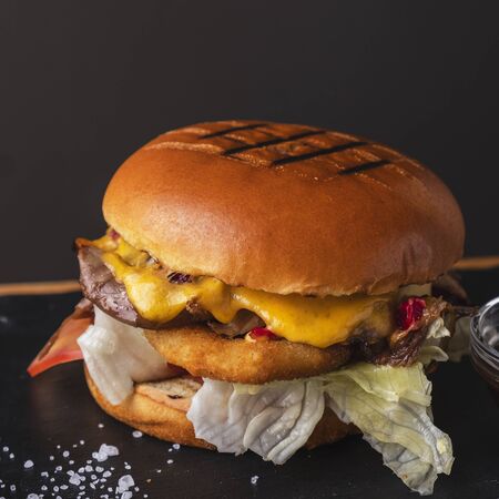 Burger with duck meat. Closeupの写真素材