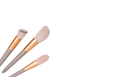 Makeup brushes isolated on white background. Copy spaceの写真素材