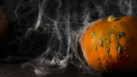 Halloween pumpkin with spiders and web on dark background. Halloween concept. Copy spaceの写真素材