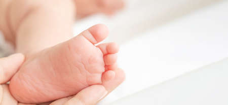 Tiny baby feet on white blanket. Banner. Copy spaceの写真素材