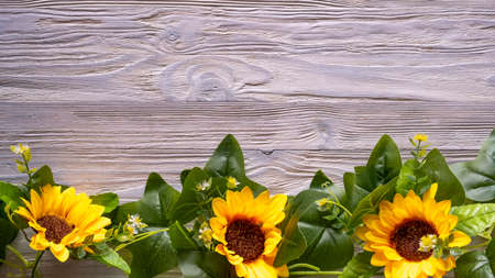 Sunflowers on a wooden background. Top view, copy spaceの写真素材
