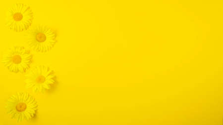 Summer flowers on yellow background. Text spaceの写真素材
