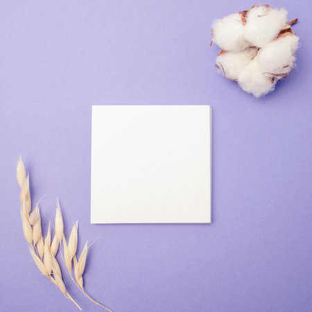 Blank white greeting card with dry herbs on violet background. Toned photo. Top view. Mock upの写真素材