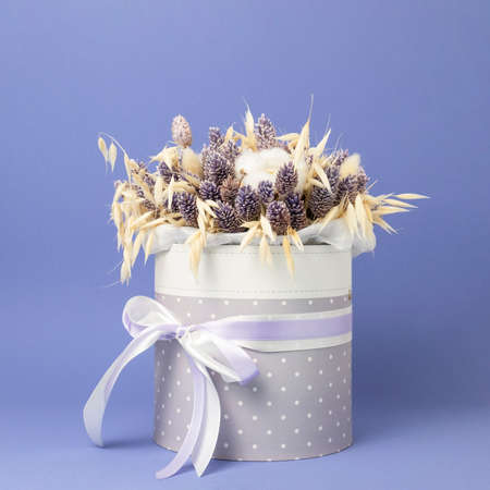 Composition with dried lavender flowers on violet backgroundの写真素材