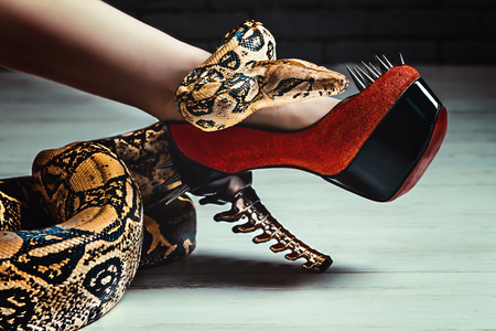 The snake on the woman's leg in the Shoeの写真素材