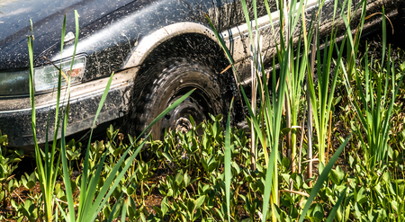 Car stuck in the mud in the swamp