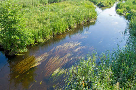 reflection of the sky in a quiet riverの写真素材