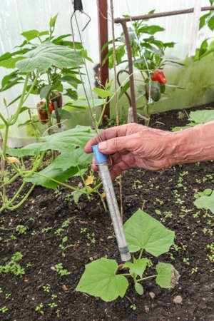 a male gardener measures the temperature of the air in the greenhouse