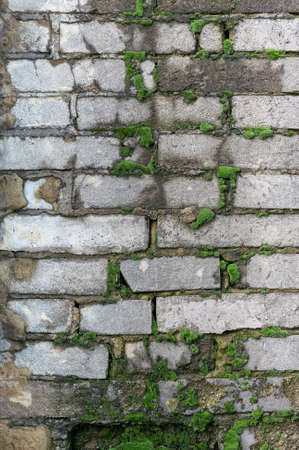 an old brick wall of a residential building overgrown with moss