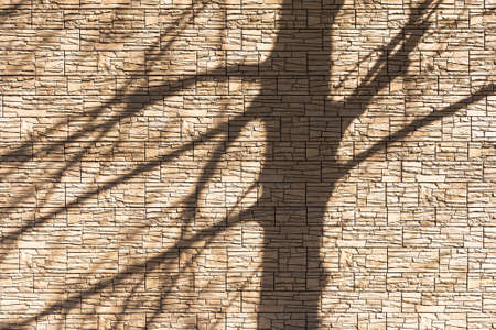 The shadow of the tree falls on the stone wall. As a natural background.の写真素材