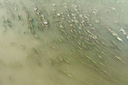 The flow of dirty water in a muddy river. Top view of the algae growing from the bottom.の写真素材