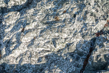 The pattern and texture of a weathered and cracked sandstone fragment. Natural background and relief...