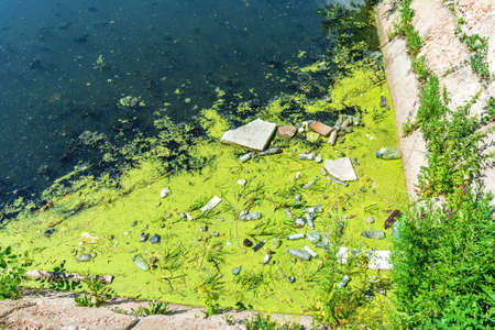 A dump of household garbage on the surface of a dirty river. The problem of environmental pollutionの写真素材
