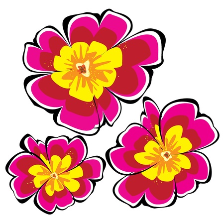 red  primroses isolated on white backgroundのイラスト素材