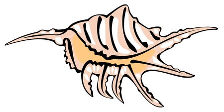  one vector pink shell isolated on white backgroundのイラスト素材