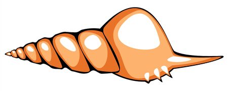 one vector orange shell isolated on white backgroundのイラスト素材