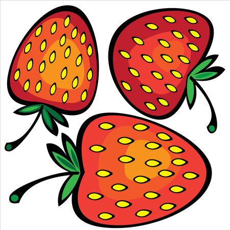 color strawberry isolated on white backgroundのイラスト素材
