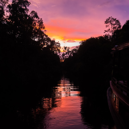 Colorful sunset over the water amongst the dense jungle (Bohorok, Indonesia)の写真素材