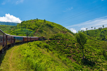 The view of the railway, Sri Lankaの写真素材