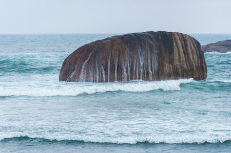 The landscape of the Sri Lanka Coastの写真素材