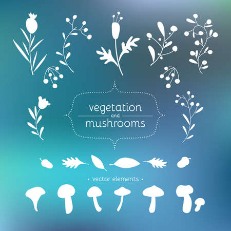 Set of floral elements for design and illustration. Plants, flowers, mushrooms, berries, leaves. Perfect elements for save the date card.のイラスト素材