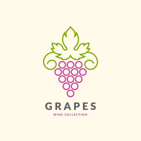 The modern concept of grapes on a light background. The token for the collection of wines, vineyards and restaurant.のイラスト素材