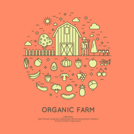 Vector illustration of organic farm. Design elements, vegetables and fruits in modern linear graph.のイラスト素材