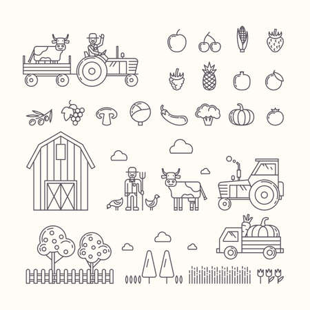 Vector illustration of organic farm. Set design elements, vegetables and fruits in modern linear graph.のイラスト素材