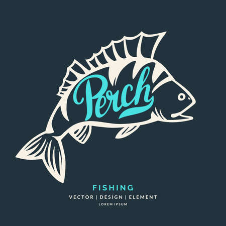 Modern hand drawn lettering word Perch. Calligraphy brush and ink. Vector illustration Fishのイラスト素材
