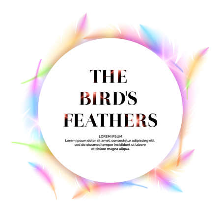 Bright bird feathers on a white background.のイラスト素材