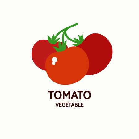 Illustration of a tomato in a flat style. Isolated image on a light background. Vector icon.のイラスト素材