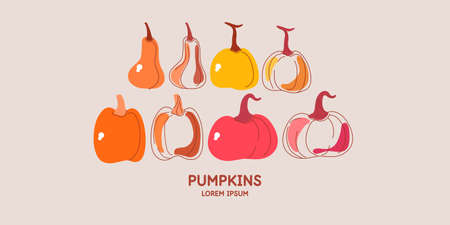 A set of pumpkin images. Fruit on a branch with leaves. Isolated images on a light background.のイラスト素材