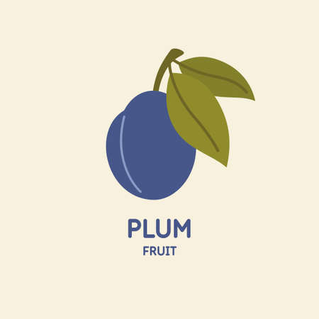 Illustration of a plum in a flat style. Isolated image on a light background. Vector icon.のイラスト素材