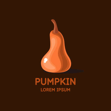 Illustration of a pumpkin in a flat style. Isolated image on a dark background. Vector icon.のイラスト素材