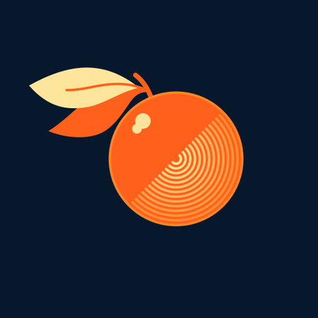 Illustration of a vinyl record and an orange. Isolated image on a dark background. Vector icon.のイラスト素材