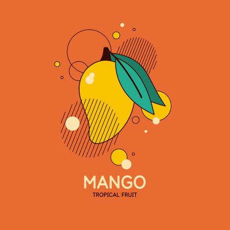 Vector graphics in a minimalistic fashionable style with geometric elements. Illustration of a mango.のイラスト素材