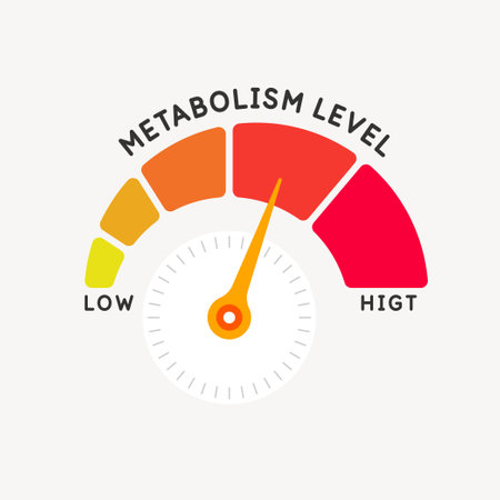 A scale for measuring the level of metabolism. Measurements of the body's metabolism. The indicator shows the level. Isolated vector element.のイラスト素材