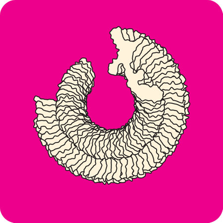 A graphic element for further creativity. A simple geometric vector illustration.のイラスト素材