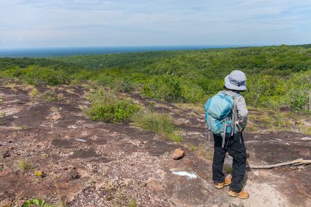 Person standing on top of a mountain. endless forest. Tropical forest of South Americaの写真素材