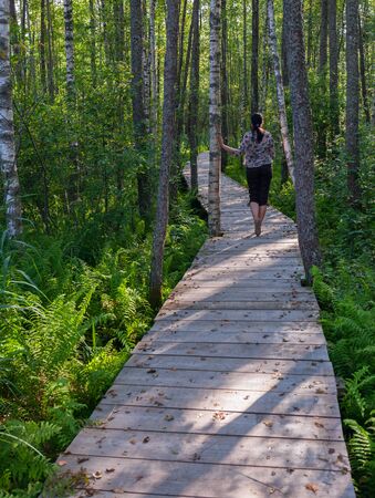 Wooden path in Estonia. Wooden footbridge across swamp in the forestの写真素材