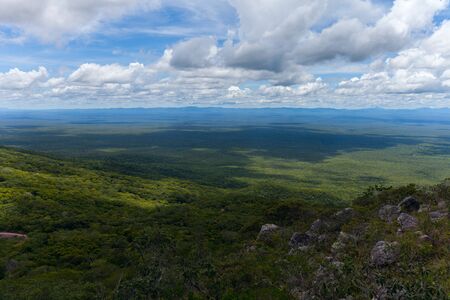 boundless expanse. view from mountains. Santiago. Chiquitania Bolivia Stock photoの写真素材