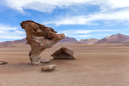 Stone tree on high desert Altiplano, Boliviaの写真素材