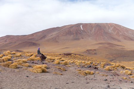 An uphill view of the volcano in National Park of Bolivian Altiplano, Uyuniの写真素材