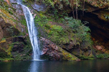 Waterfall hidden in the tropical jungle in the heart of Boliviaの写真素材