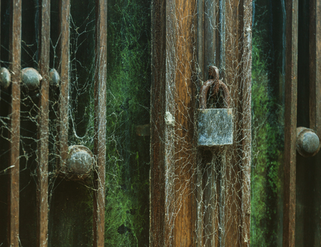 Old vintage lock on the door covered with cobwebs. sinister lookの写真素材