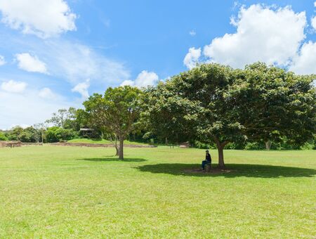 Lonely tree and a woman sitting in the shade of a tree crown on a hot sunny day. Stock photoの写真素材