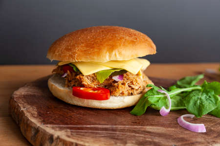 Fresh Pulled pork sandwich with pickled cucumber, arugula and jalapenosの写真素材