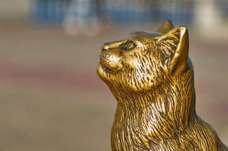 Bronze statue of a cat. Sculpture on the embankment of Blagoveshchensk, Russia. Blurred background.の写真素材